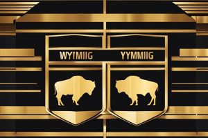 Die Vorteile der LLC-Struktur von Wyoming