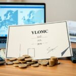 Wyoming LLC tax risks for owners living in Europe